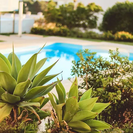 Sea And Soul - Pool And Sea View Lejlighed Ericeira